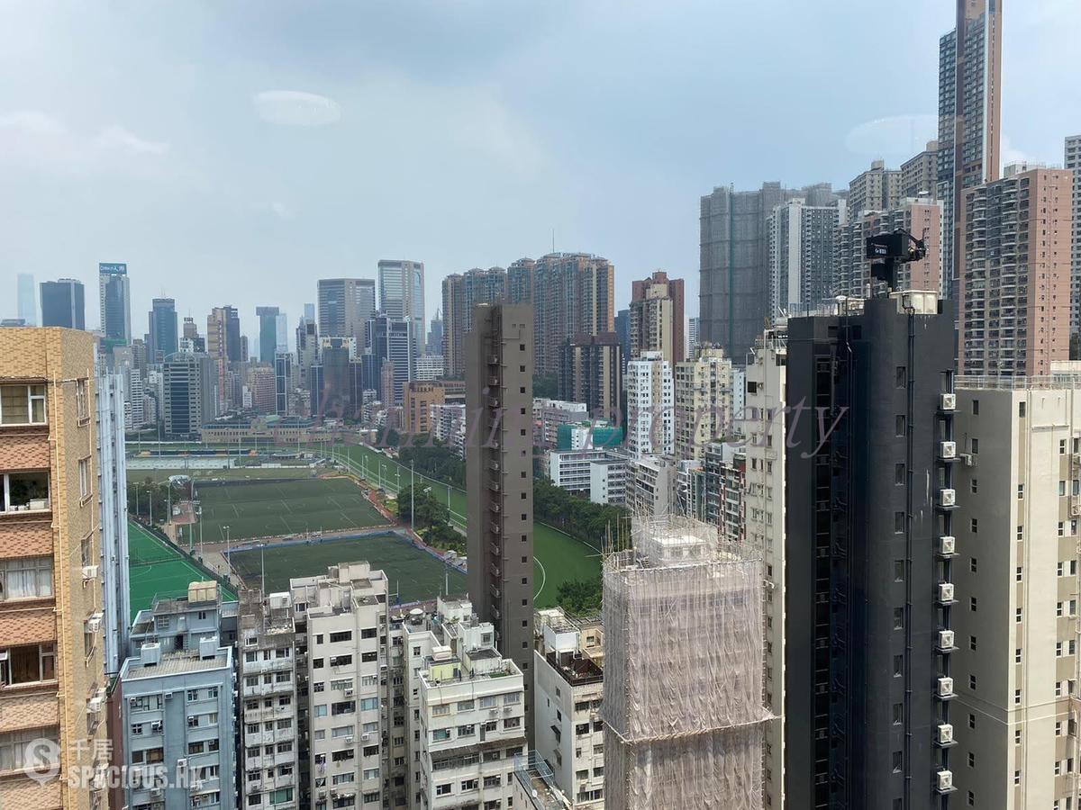Happy Valley - Horace Court 01
