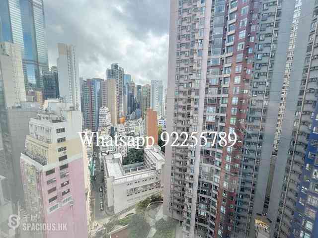 Sheung Wan - Manhattan Avenue 06