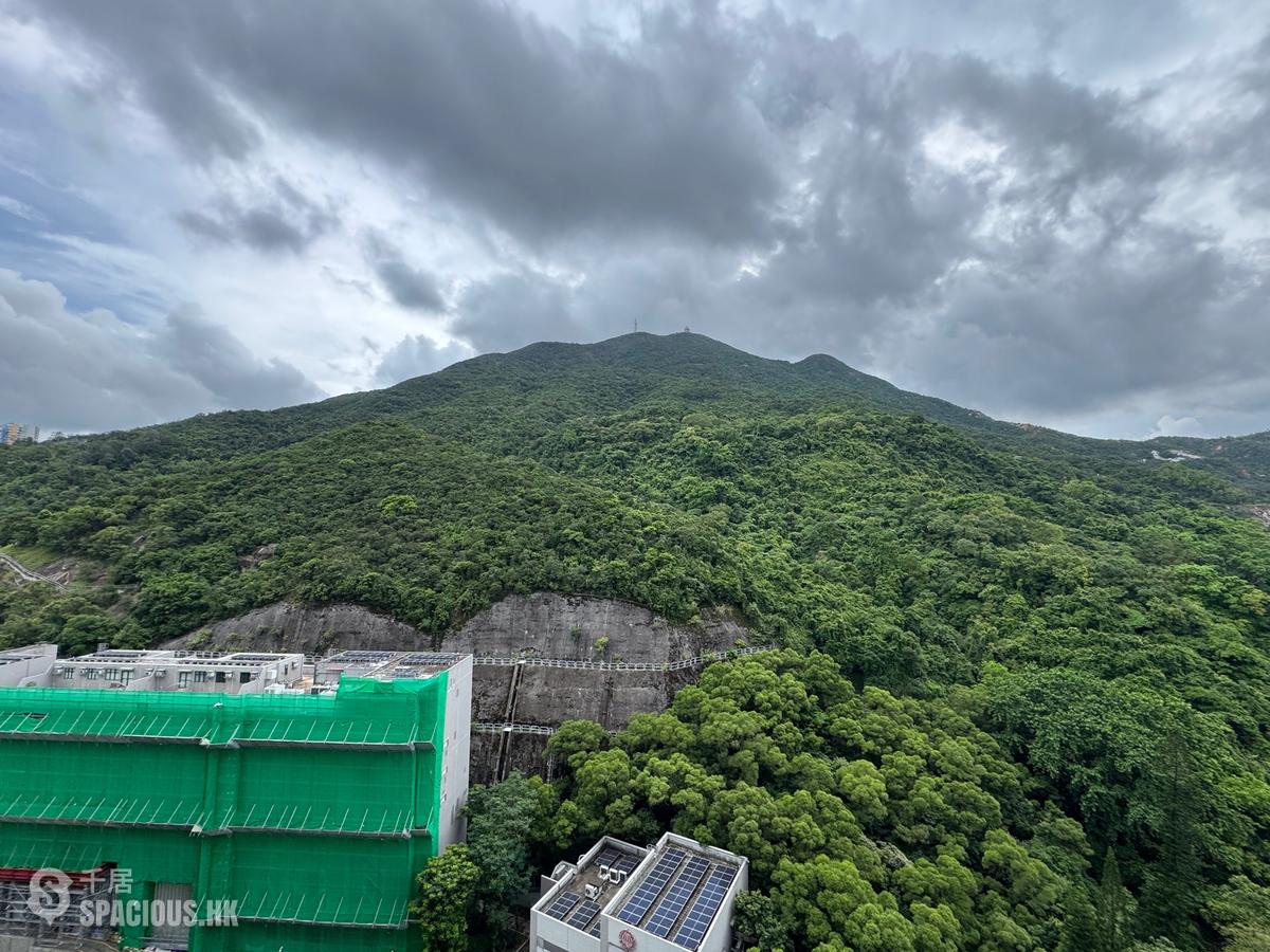 筲箕湾 - 香岛1座 01