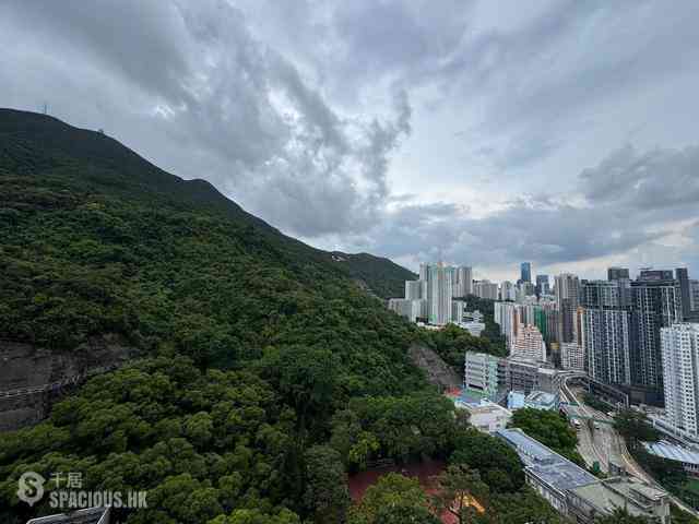 Shau Kei Wan - Island Garden Block 1 02