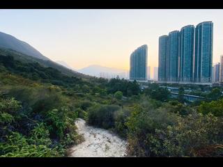 東涌 - 藍天海岸1期 02