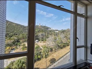 The Peak - The Mount Austin 06