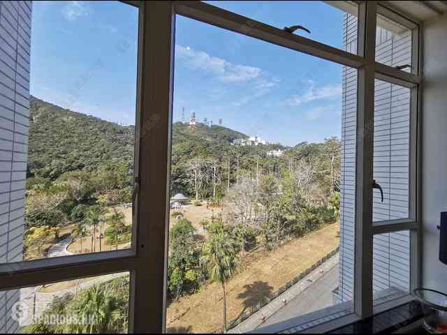 山頂 - The Mount Austin 06
