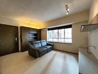 Mid Levels Central - Robinson Heights Block 1 44