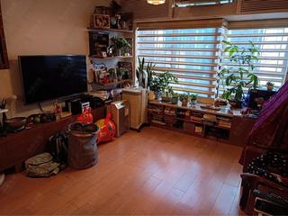 中半山 - 殷樺花園1期 02