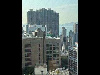 西半山 - 巴丙顿山 18