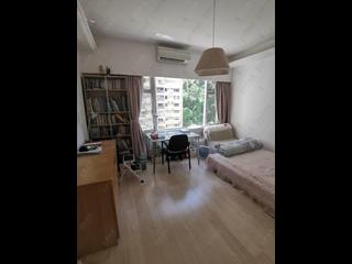 Mid Levels Central - Elegant Garden 15
