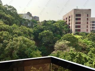 西半山 - 瓊峰臺 02