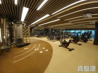 Shau Kei Wan - Island Garden 13