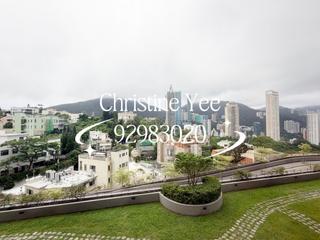 Jardines Lookout - Cavendish Heights 23