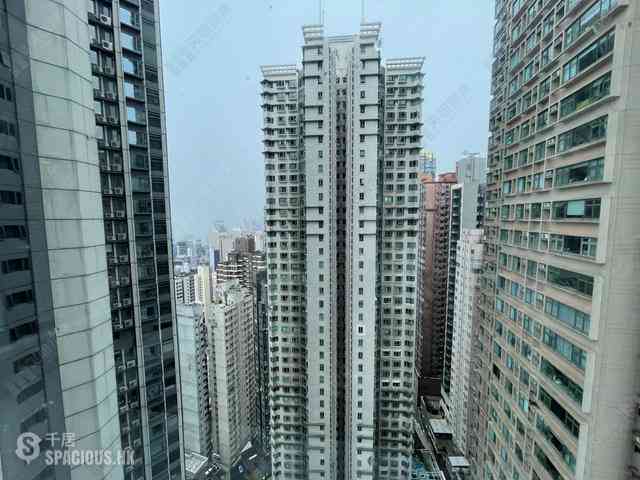 Mid Levels Central - Robinson Place 15