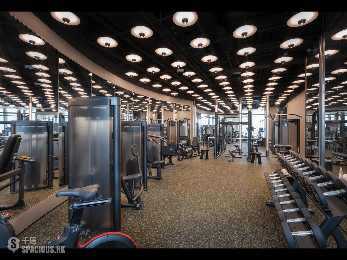 Vega Suites