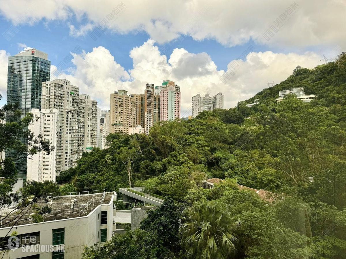 東半山 - 御花園 01