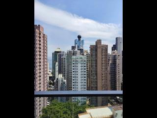 Sai Ying Pun - The Summa 07