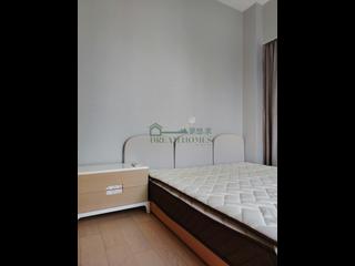 Sai Ying Pun - The Summa 10