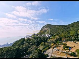 The Peak - The Mount Austin 03