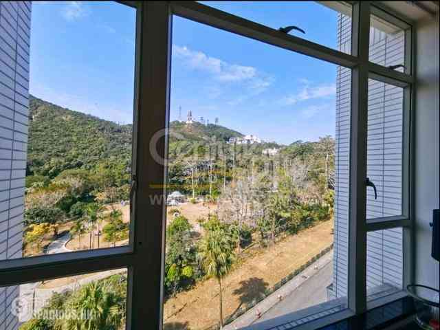 The Peak - The Mount Austin 10