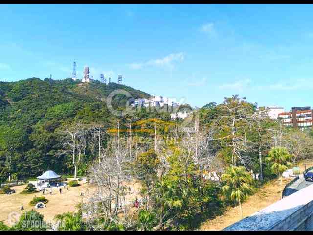 The Peak - The Mount Austin 16
