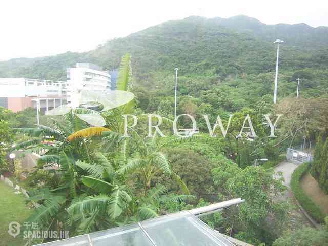 壽臣山 - 曉穎花園 02