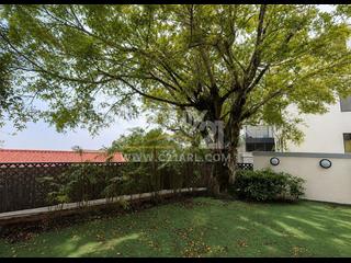 The Peak - Strawberry Hill 02