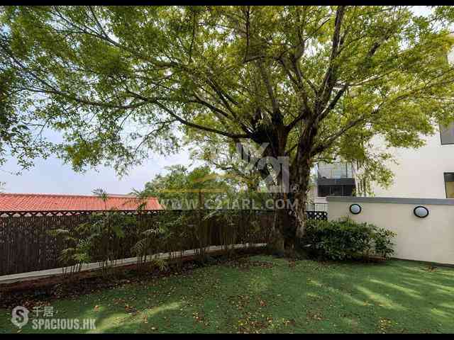 The Peak - Strawberry Hill 02