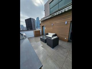 Sai Ying Pun - Macro Garden 06