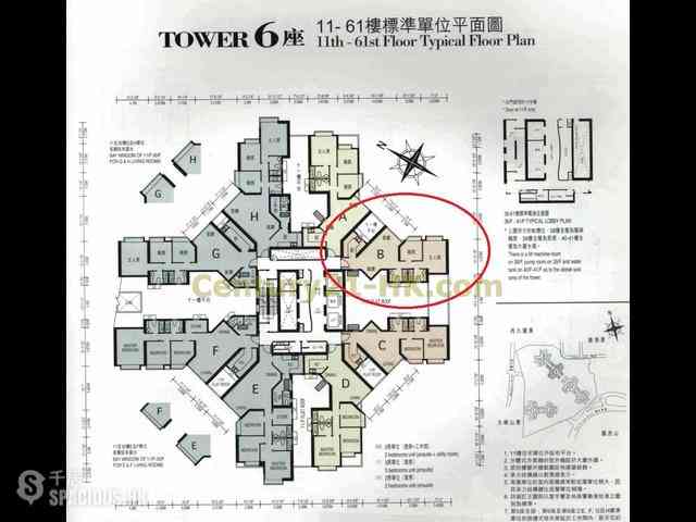 Shek Tong Tsui - The Belcher's 09
