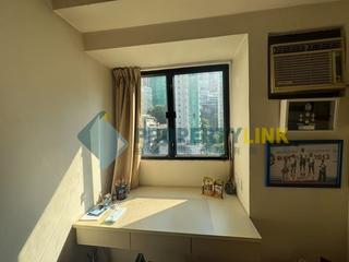 Poho - Rich View Terrace 06