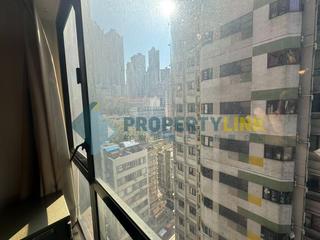 Poho - Rich View Terrace 03