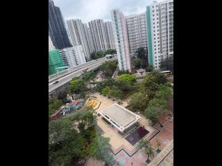 西灣河 - 鯉景灣 05