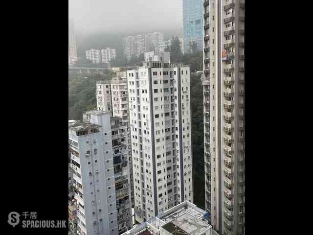 跑马地 - Shan Kwong Towers 13