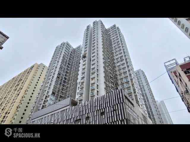 Sai Wan Ho - Felicity Garden Block 2 13