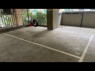 Mid Levels Central - Botanic Terrace Block A 23