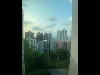 西半山 - 华庭阁 10