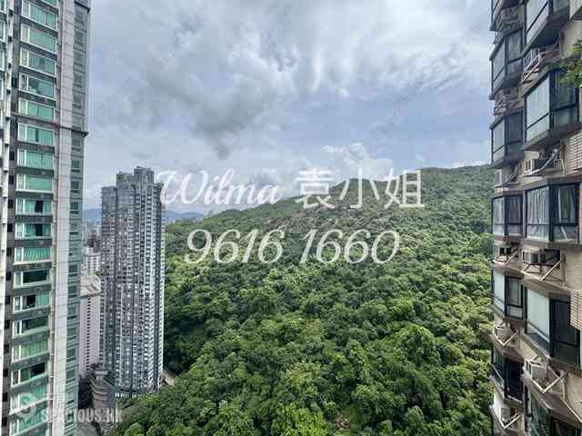 Tai Hang - Ronsdale Garden 11