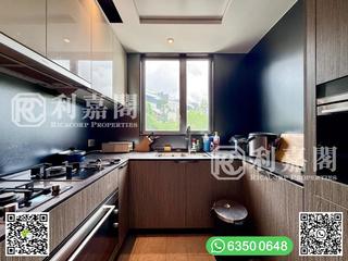 Clear Water Bay - Mount Pavilia 11
