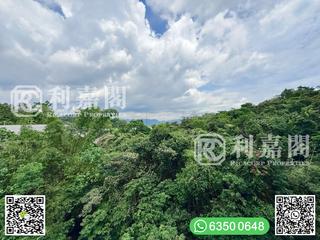 Clear Water Bay - Mount Pavilia 03