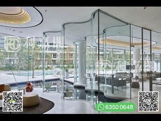 Clear Water Bay - Mount Pavilia 31