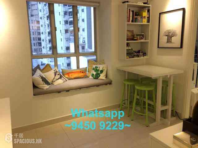 Sai Ying Pun - Macro Garden 01