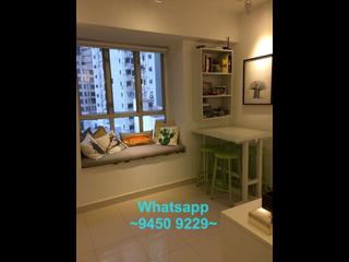 Sai Ying Pun - Macro Garden 03
