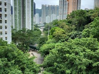 大圍 - 美松苑 11