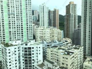 Mid Levels West - Wilton Place 12