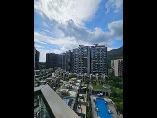 Gold Coast / So Kwun Wat - Napa 15