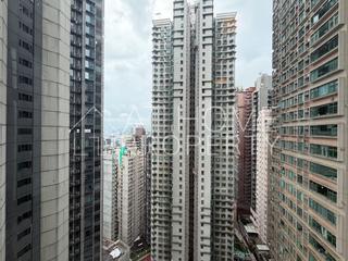 Mid Levels Central - Robinson Place 14