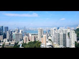 Tai Hang - Park Garden 04