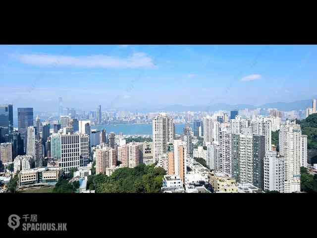 Tai Hang - Park Garden 04