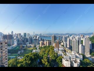 Tai Hang - Park Garden 10