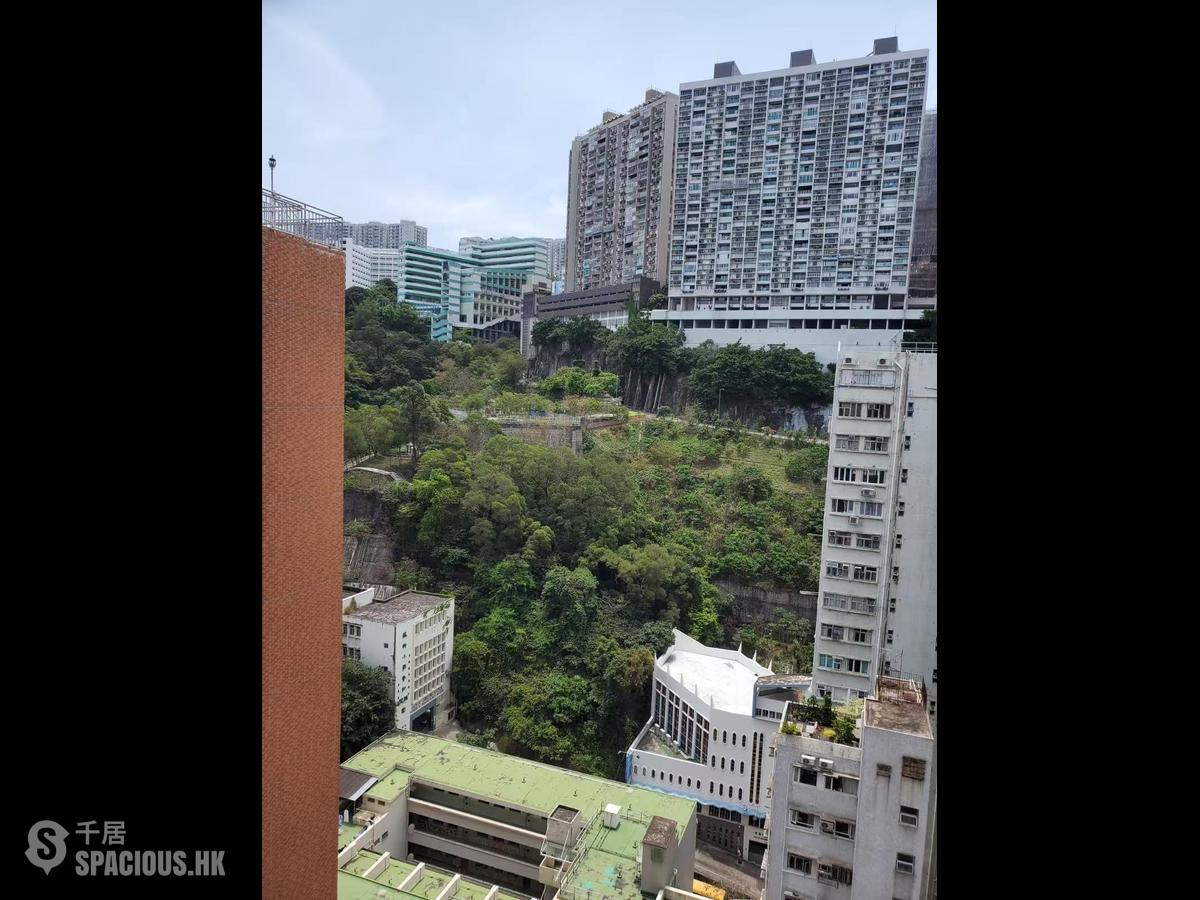 北角 - 宝翠洋楼 01