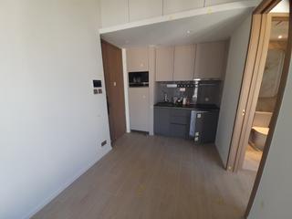 Sai Ying Pun - Des Voeux W Residence 07