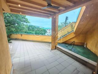 Stanley - Carmelia 10